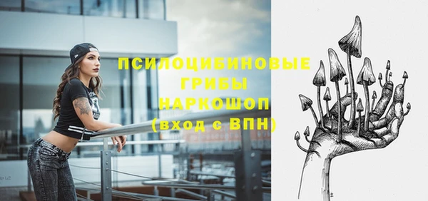 крисы Алексин