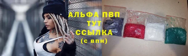 крисы Алексин