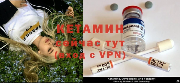 крисы Алексин