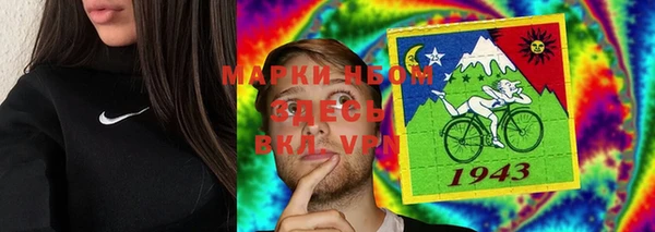 крисы Алексин